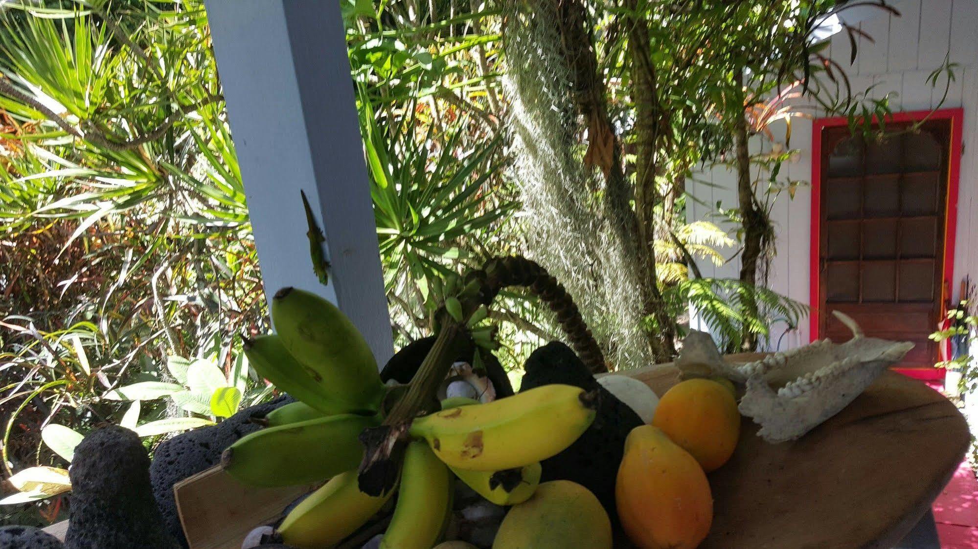 Ma'Ukele Lodge Pahoa Bagian luar foto